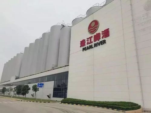 南沙崛起 廣州下一個琶醍，商務信息咨詢新機遇