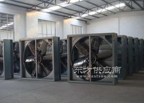 偉創通風器 深度解析600型不銹鋼通風器的優勢與福建地區的商務信息咨詢